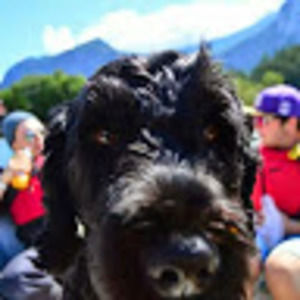 Meet your Posher, Harrison